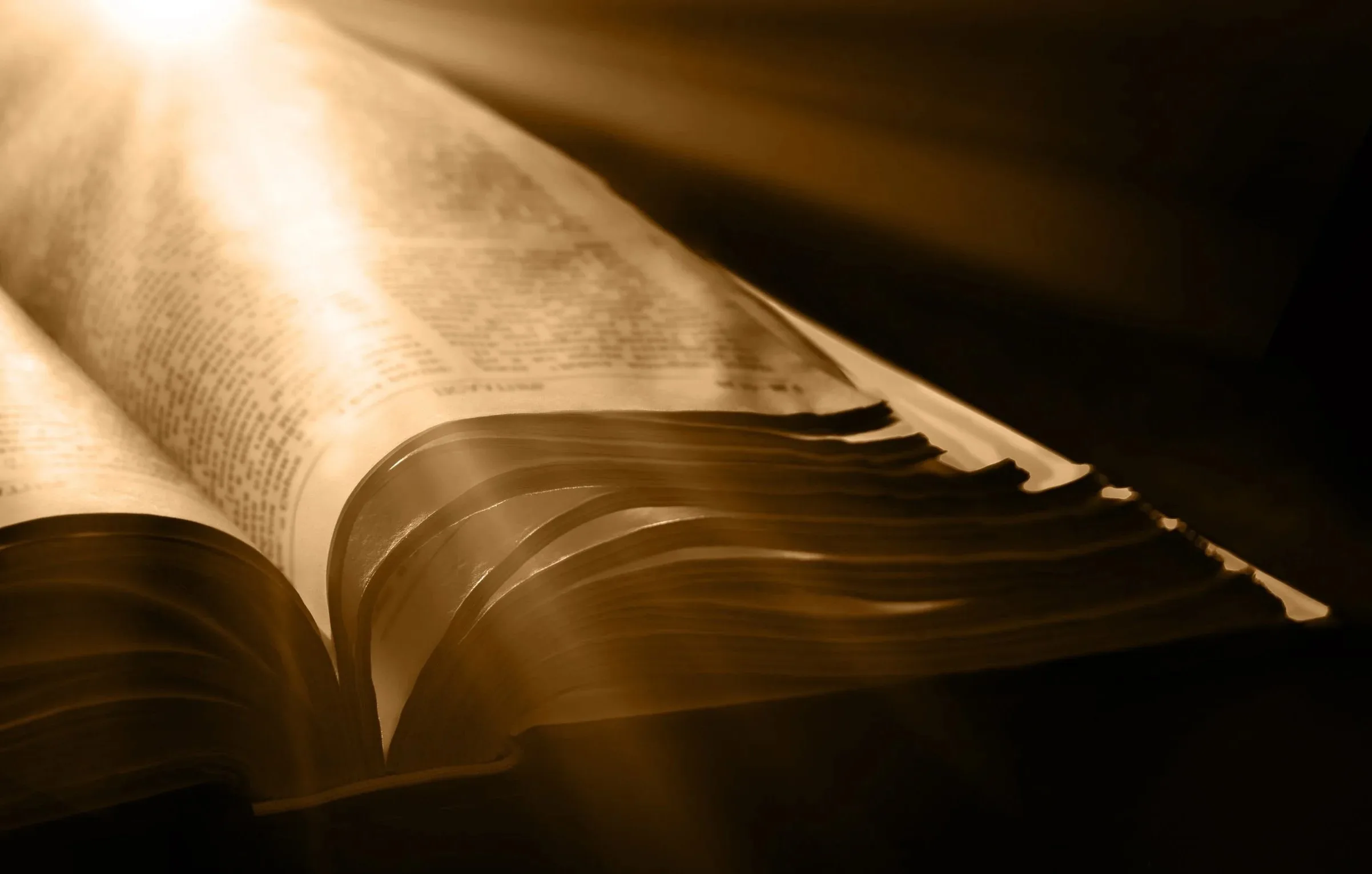 What Word Itself Means